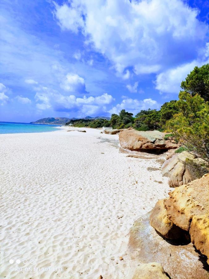 Oleandri Calaverde Sardegna Iun P1641 พูลา ภายนอก รูปภาพ
